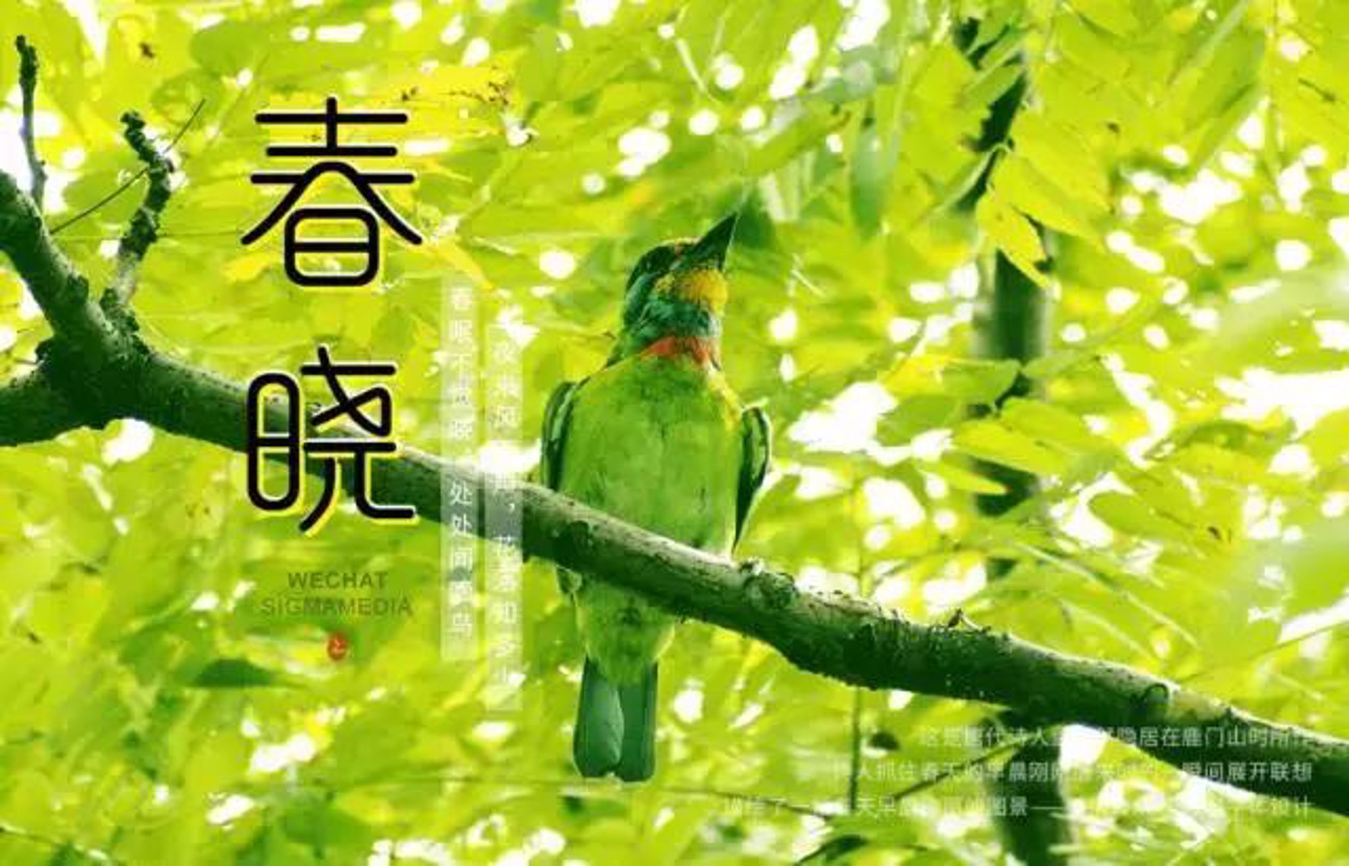 春晓制衣